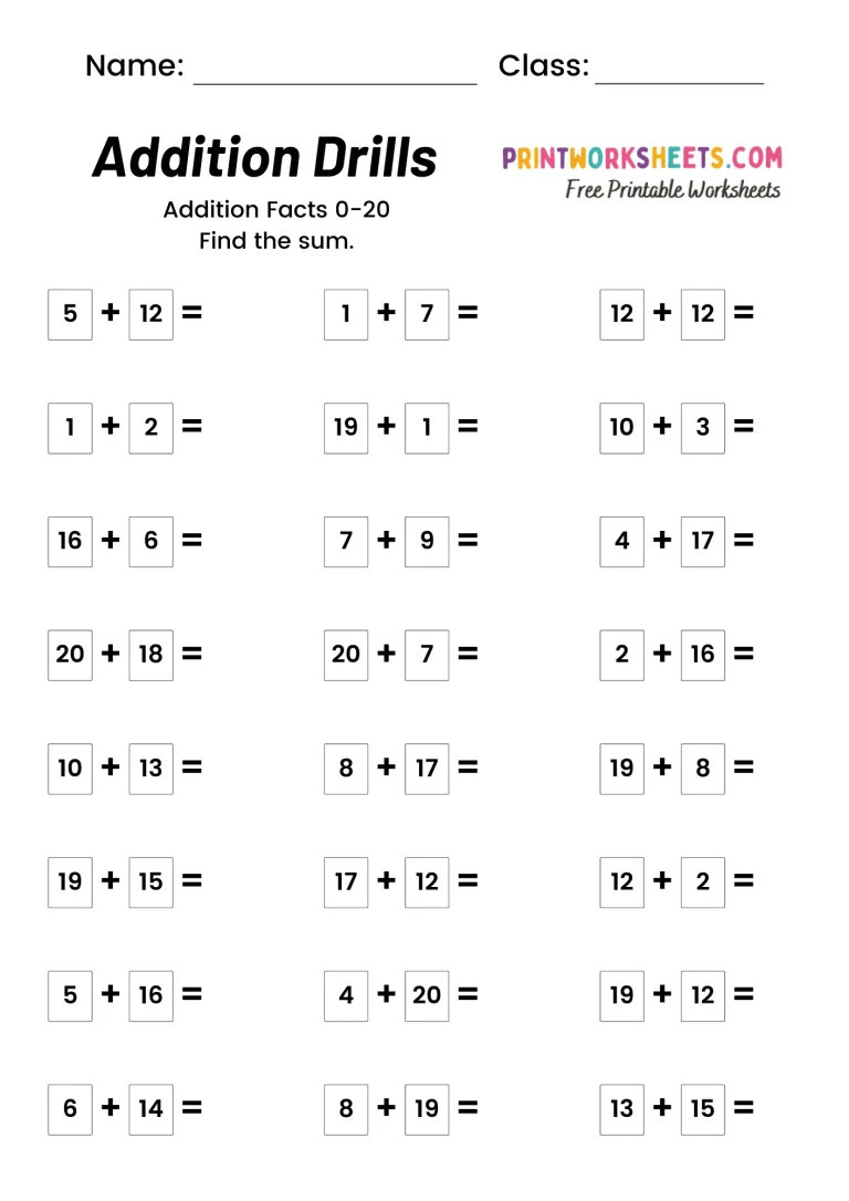 Addition Drill Math Worksheets Addends to 20