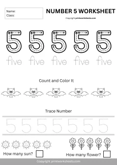 Number Recognition Worksheets Worksheet - Number 5 Worksheet for Kindergarten PDF Format FREE | Free Printable