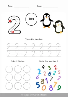 Number Recognition Worksheets Worksheet - Number 2 Worksheet for Kindergarten – Trace, Color (Free Printable PDF) | Free Printable