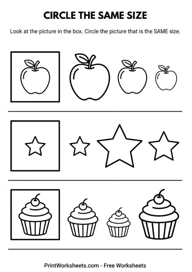Worksheet to circle the object that is the same size as the example
