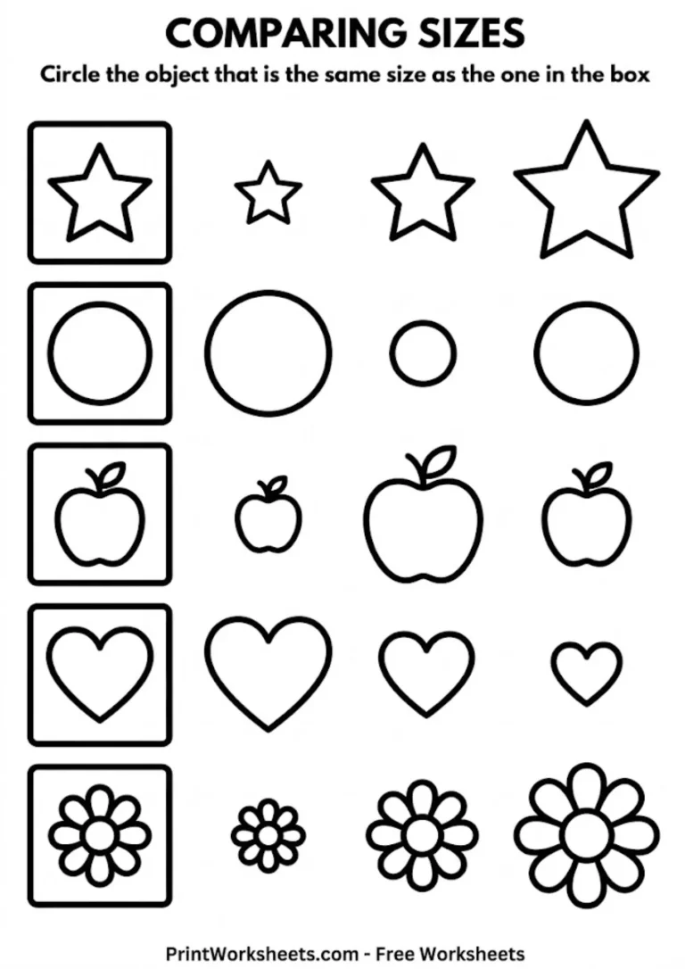 Professional black and white preschool worksheet for comparing sizes and matching objects