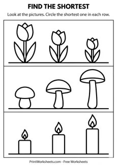 Measurement Worksheets Worksheet - Find the Shortest Object Worksheet – Height Comparison (PDF) | Free Printable
