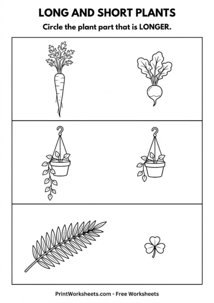 Free Long and Short Plants Worksheet – Nature Math (PDF)
