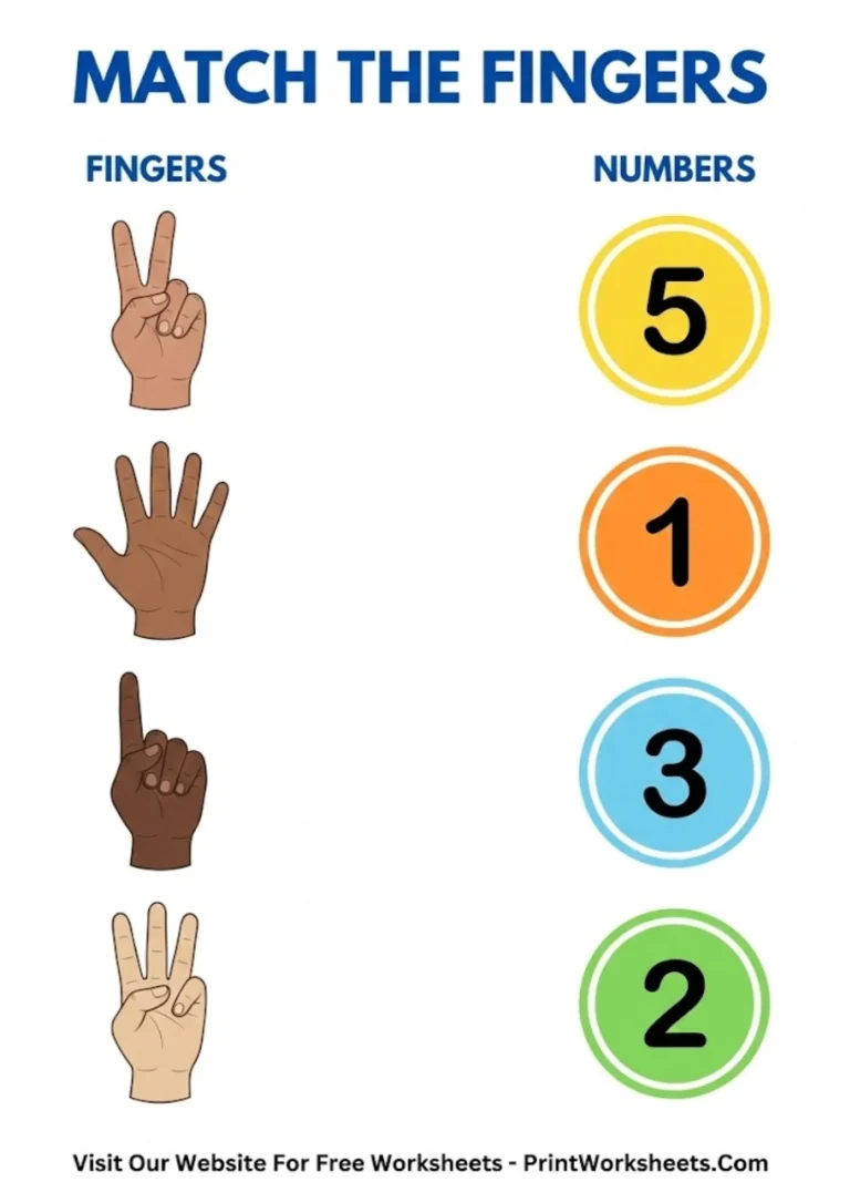Matching worksheet where students connect finger pictures to numbers
