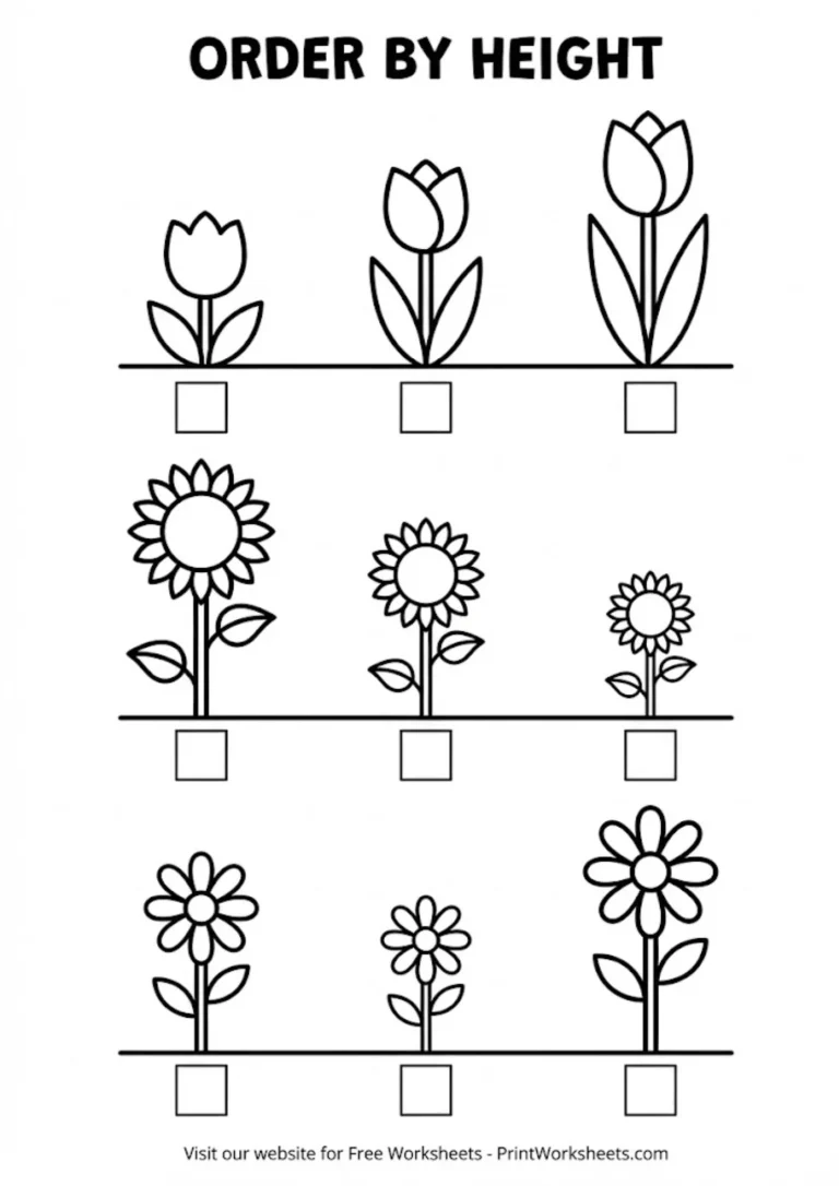 Ordering height worksheets flowers preschool free printable