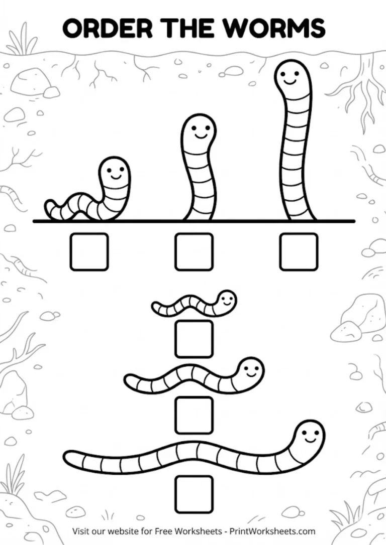 Ordering worms by length worksheet garden theme preschool