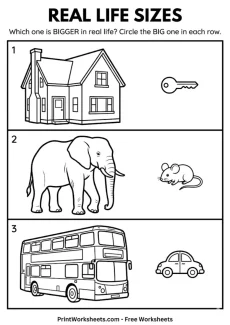 Measurement Worksheets Worksheet - Real Life Big and Small Worksheet: Preschool & Nursery Activity (PDF) | Free Printable