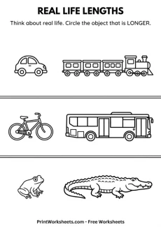 Measurement Worksheets Worksheet - Real Life Length Comparison Worksheet – Preschool PDF | Free Printable