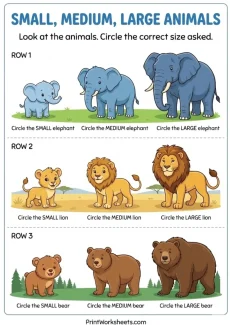 Measurement Worksheets Worksheet - Free Small Medium Big Animals Worksheet – Identify Sizes (PDF) | Free Printable