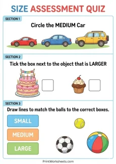 Measurement Worksheets Worksheet - Final Quiz: Small Medium Large Worksheets Free Assessment (PDF) | Free Printable