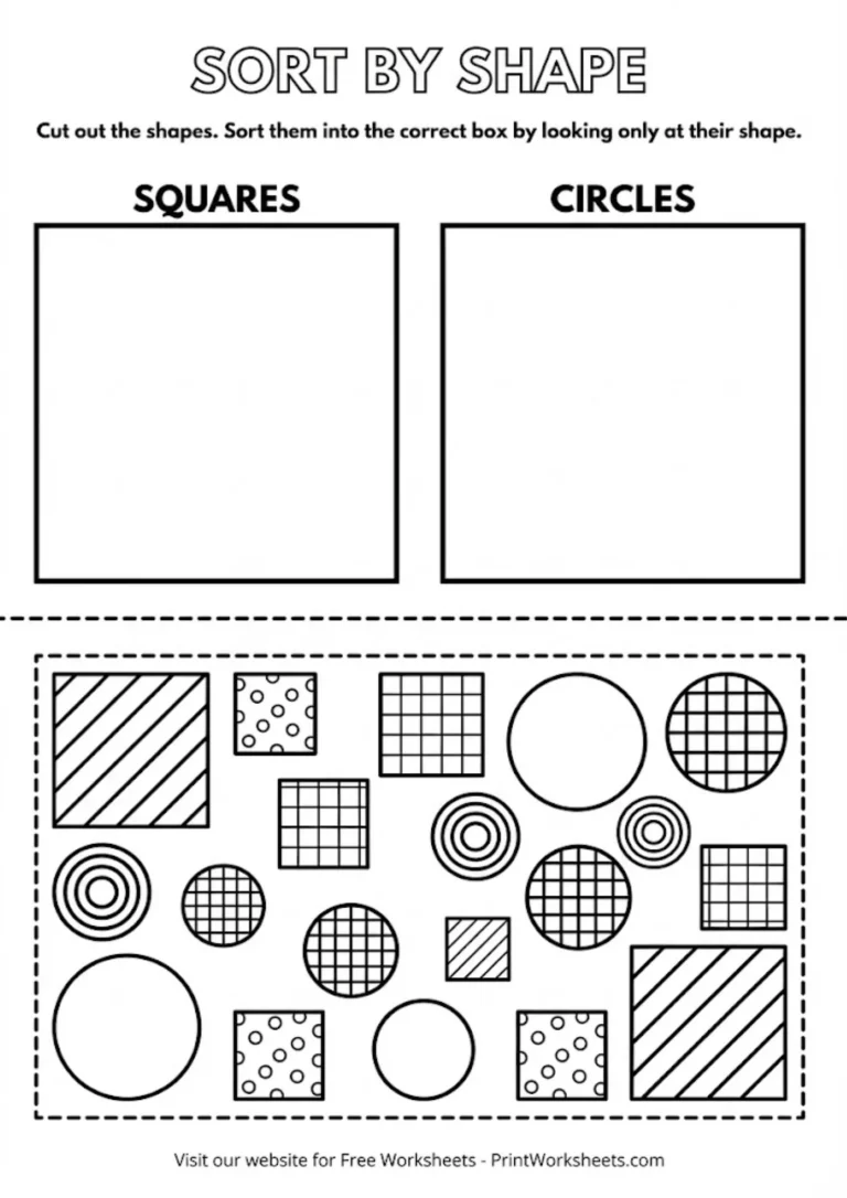 Sorting by one attribute kindergarten worksheet circles and squares
