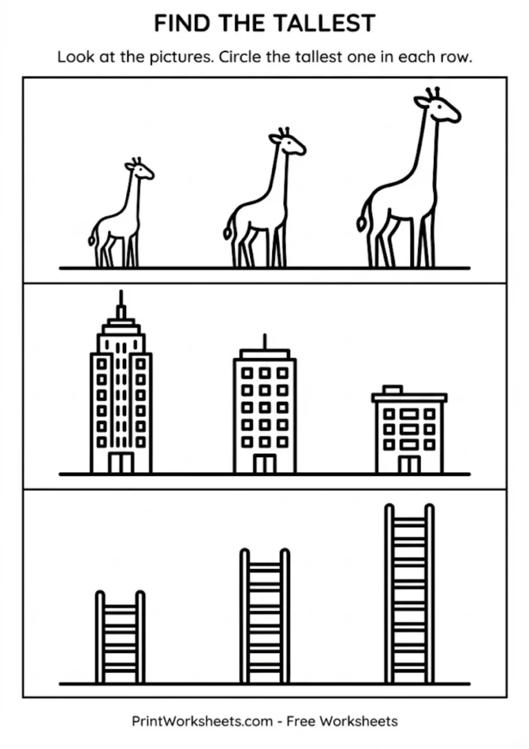 Circle the tallest object worksheet