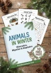 animal winter worksheets free printable
