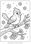 Winter bird on snowy branch coloring page for kids