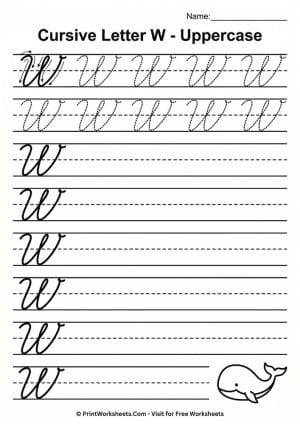 Cursive Letter W Worksheet Free Printable – PDF