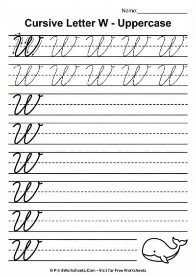 Cursive Letter W Worksheet Free Printable – PDF