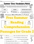 Summer reading comprehension grade 2 worksheets