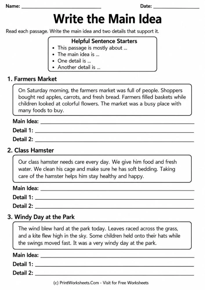 Write the main idea and supporting details graphic organizer