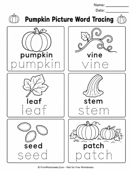 pumpkin-worksheets-page-1 Pumpkin picture word tracing worksheet
