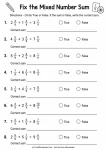 True or false mixed number addition problems with ninths