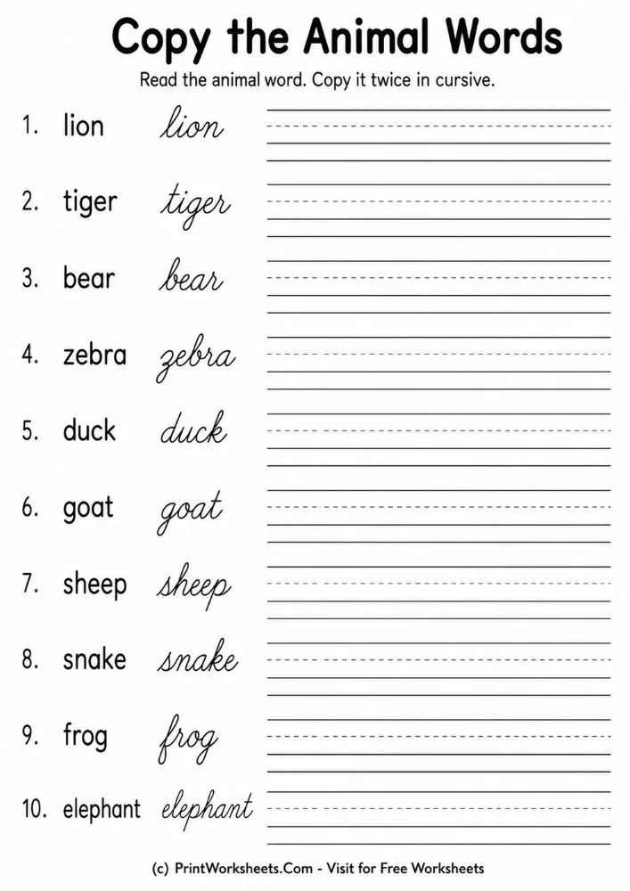 Copy the cursive animal words worksheets vocabulary