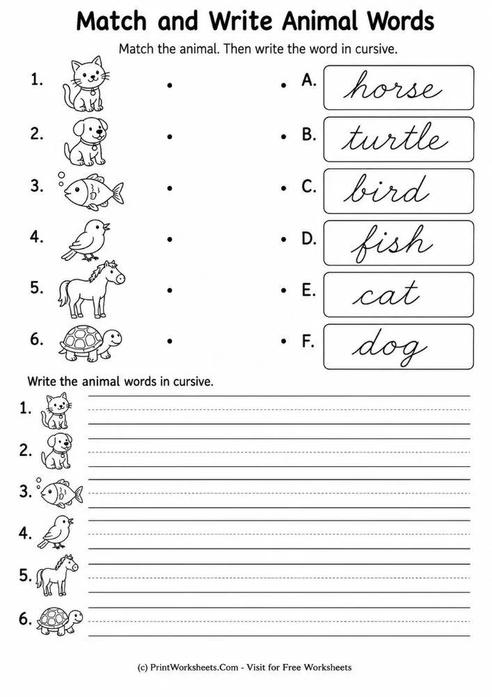 Match and write cursive animal words worksheets printable