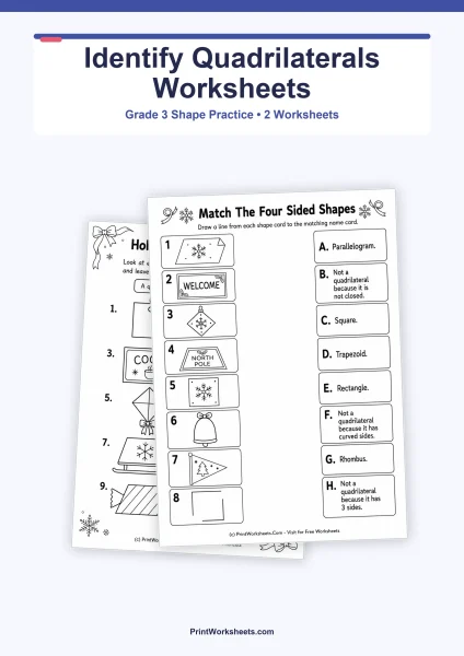 Identify Quadrilaterals Worksheets for Grade 3