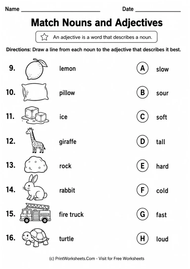 Match Nouns and Adjectives printable worksheet
