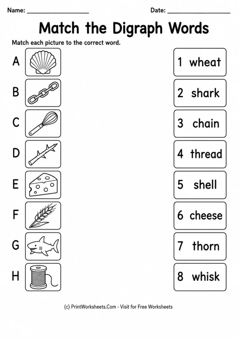 Match the Digraph Words Match the Digraph Words printable worksheet