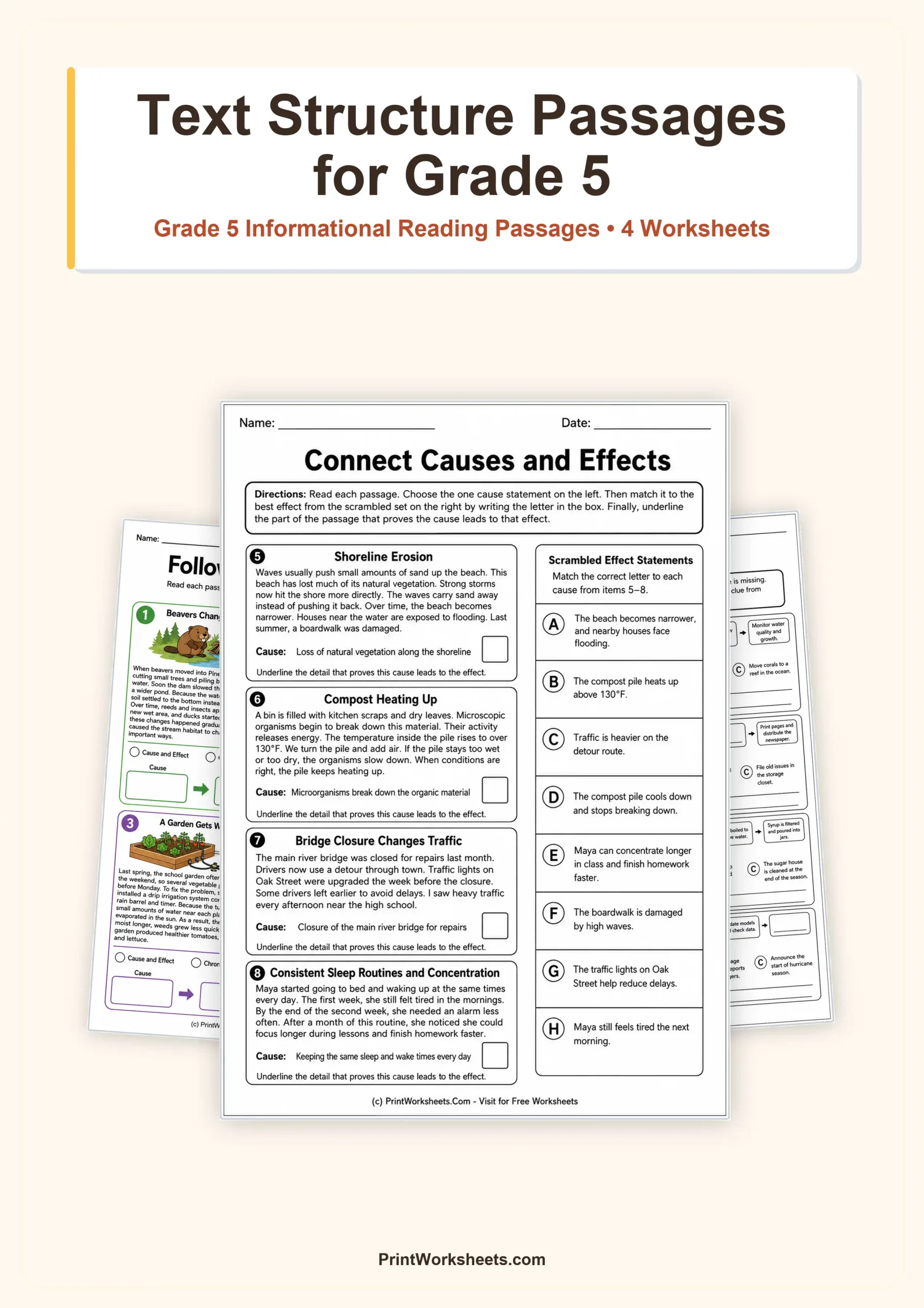 Reading Comprehension Worksheet - Cause, Effect and Chronology Passages for Grade 5 – Free Printable PDF | Free Printable