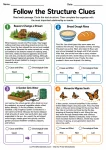 Follow the Structure Clues printable worksheet