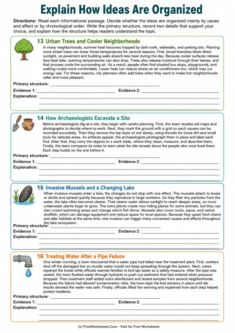 Explain How Ideas Are Organized printable worksheet