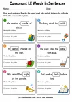 Consonant LE Words in Sentences printable worksheet