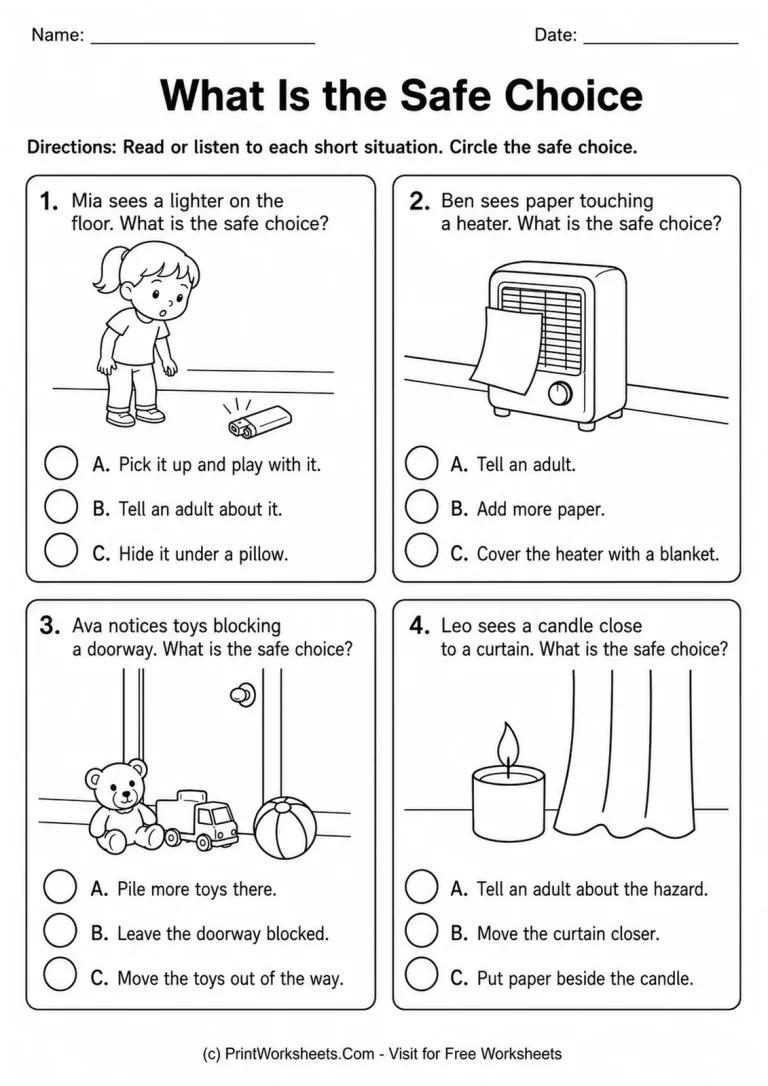 What Is the Safe Choice What Is the Safe Choice printable worksheet