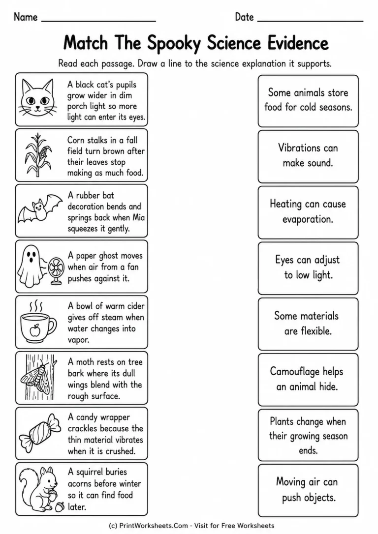 Match The Spooky Science Evidence Match The Spooky Science Evidence printable worksheet