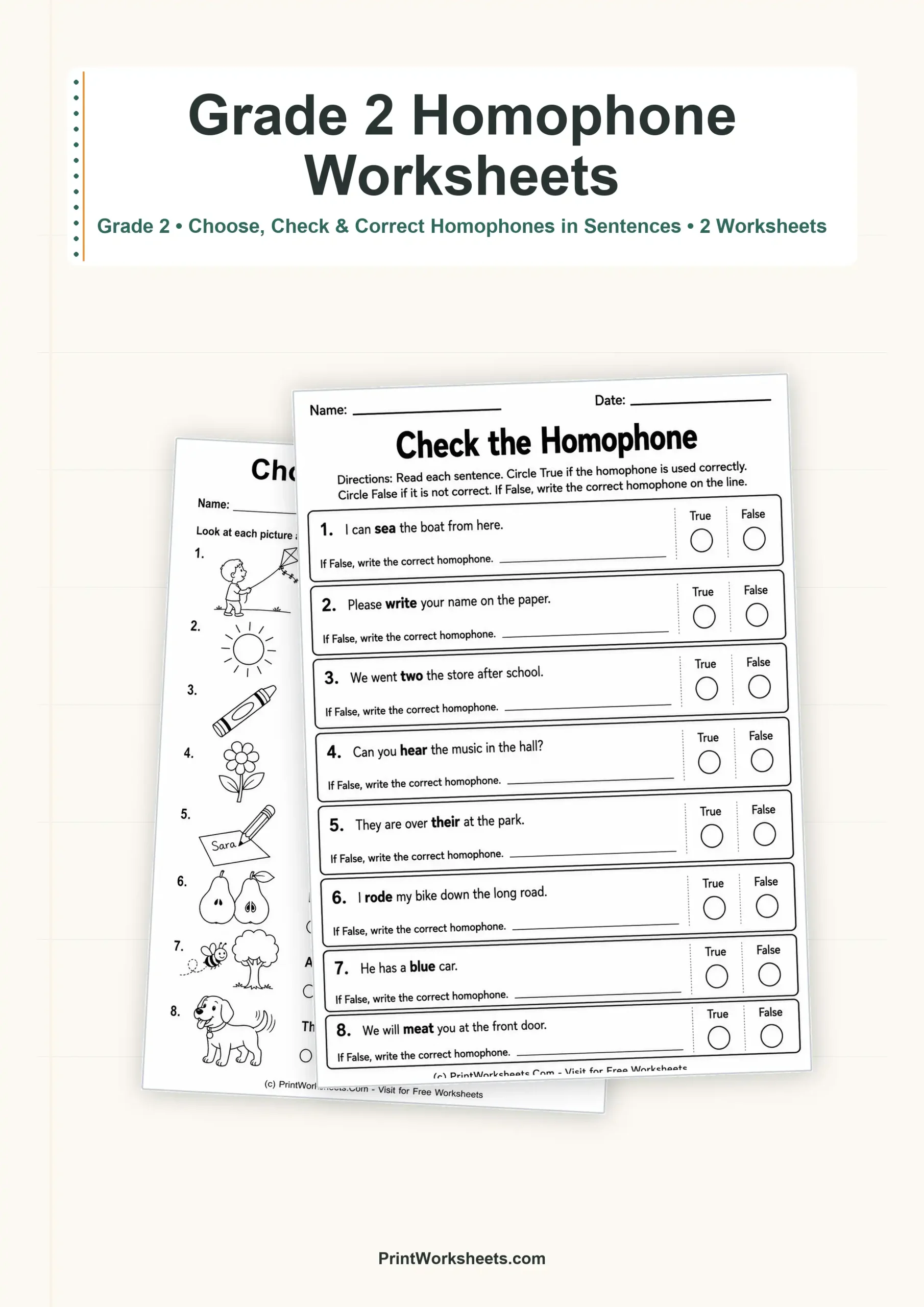 Homophone Spelling in Sentences Worksheets for Grade 2 – Free Printable PDF - Free Printable Worksheet