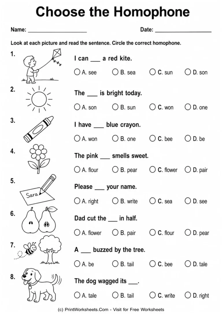 Choose the Homophone Choose the Homophone printable worksheet