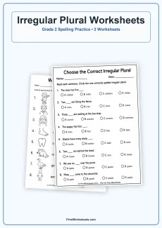 Spelling Worksheets Worksheet - Irregular Plural Spelling Words Worksheets for Grade 2 – Free Printable PDF | Free Printable