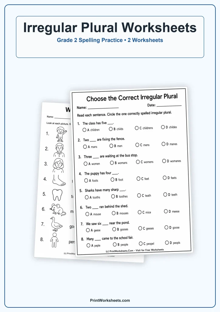 Irregular Plural Worksheets for Grade 2 – Free PDF