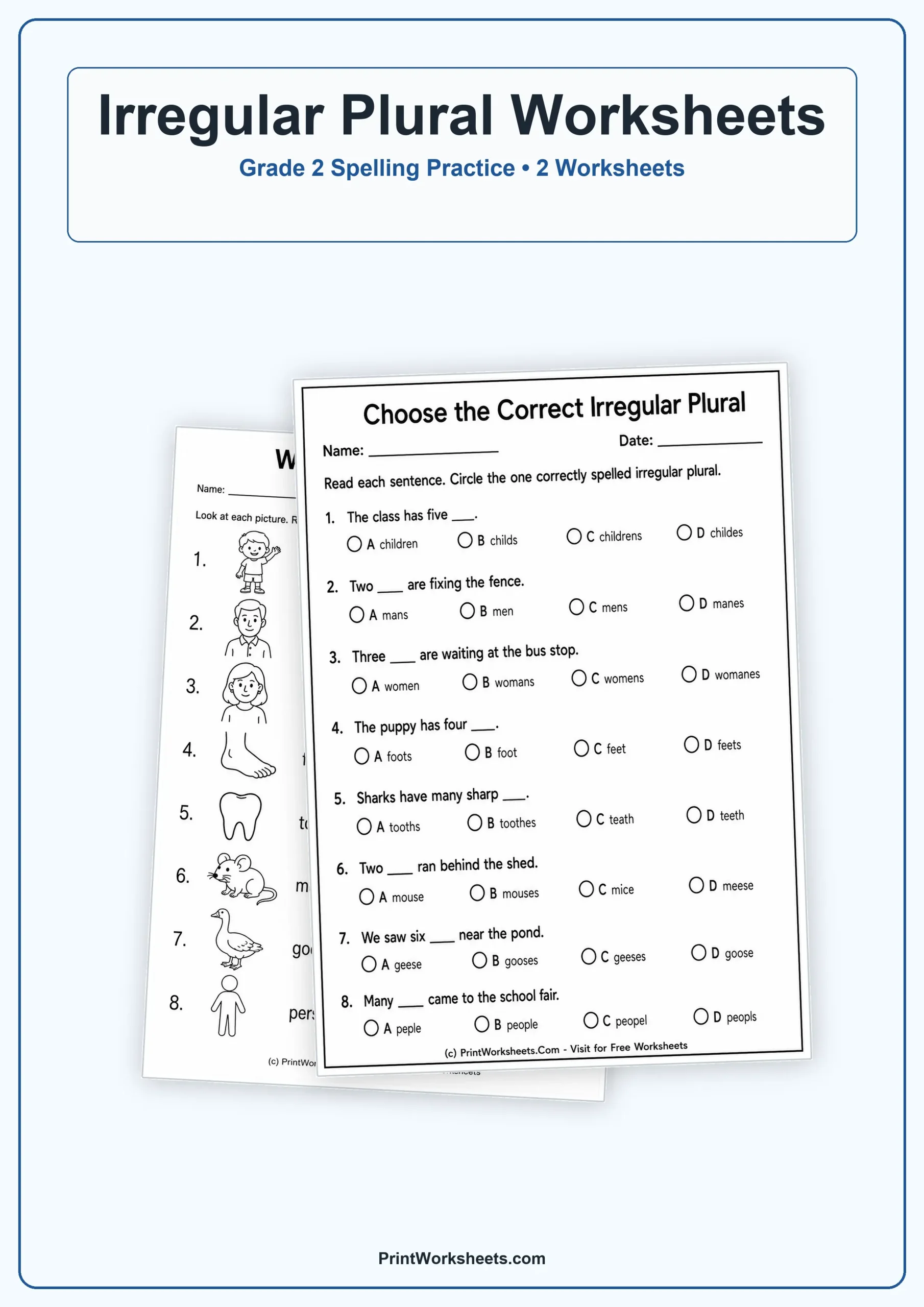 Irregular Plural Spelling Words Worksheets for Grade 2 – Free Printable PDF - Free Printable Worksheet