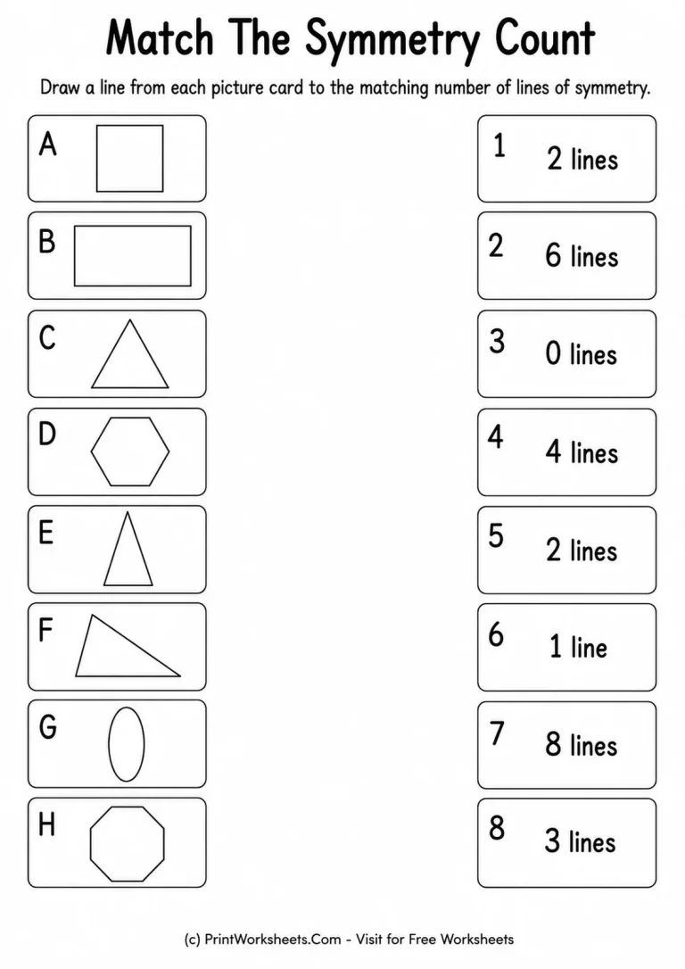 Match The Symmetry Count printable worksheet