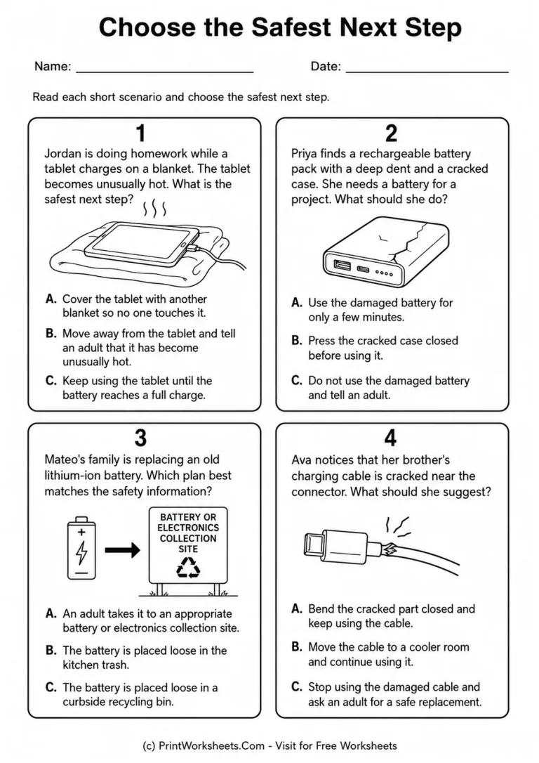 Choose the Safest Next Step Choose the Safest Next Step printable worksheet