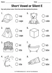 Short Vowel or Silent E printable worksheet
