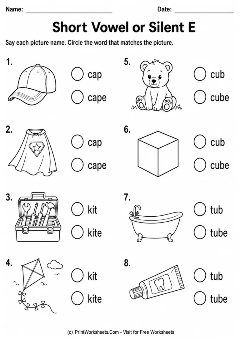 Short Vowel or Silent E printable worksheet