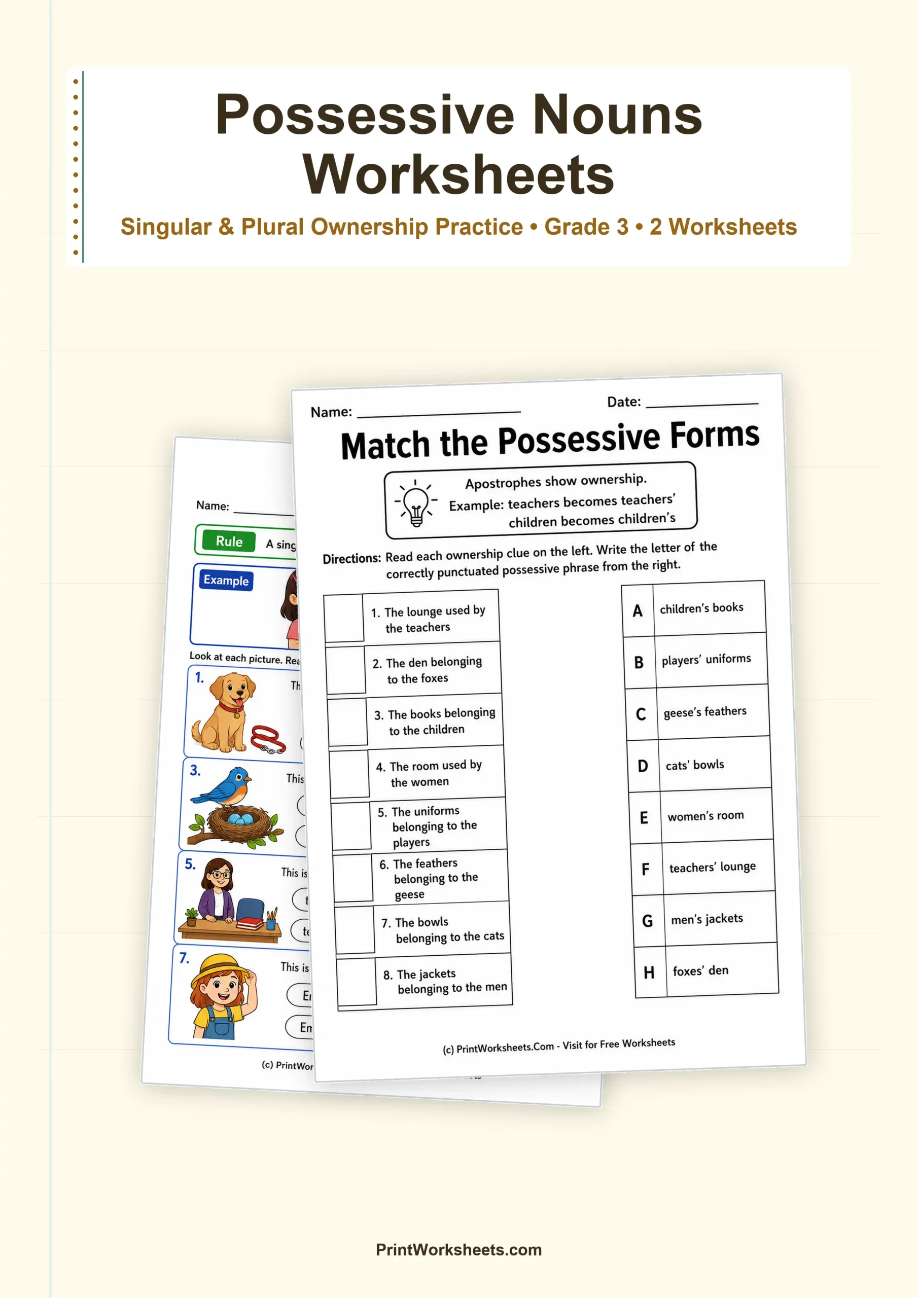 Possessive Nouns Worksheets for Grade 3 – Free Printable PDF - Free Printable Worksheet