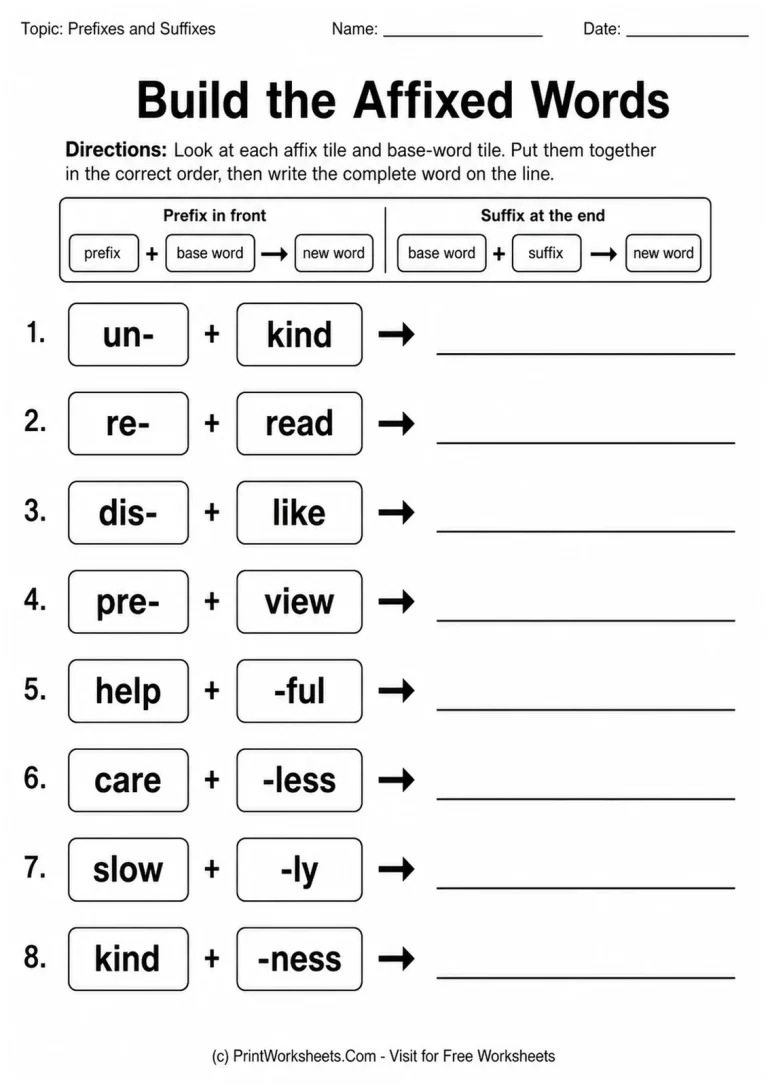 Build the Affixed Words Build the Affixed Words printable worksheet