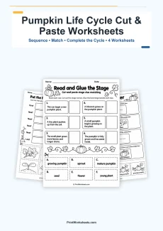 Life Science Worksheet - Pumpkin Life Cycle Cut and Paste Worksheets – Free Printable PDF | Free Printable