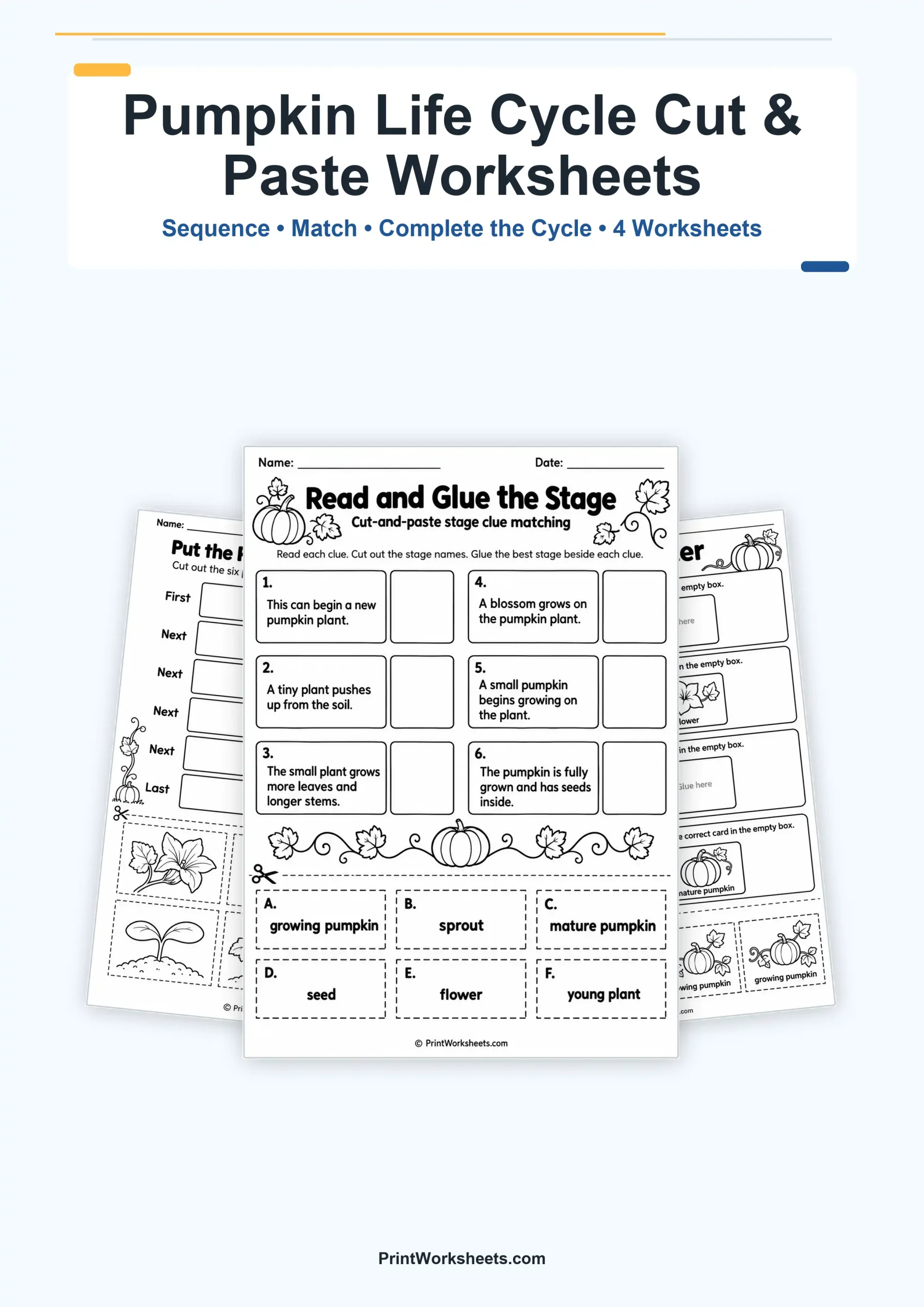 Life Science Worksheet - Pumpkin Life Cycle Cut and Paste Worksheets – Free Printable PDF | Free Printable