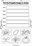 Put the Pumpkin Stages in Order printable worksheet