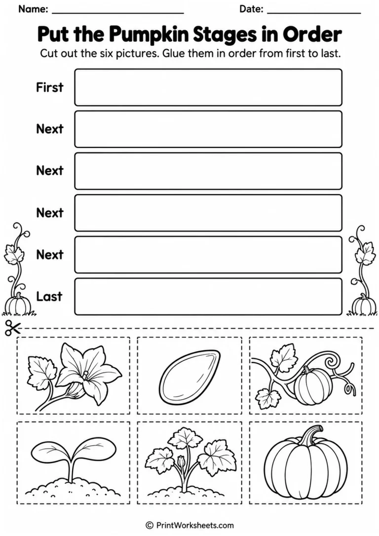 Put the Pumpkin Stages in Order printable worksheet